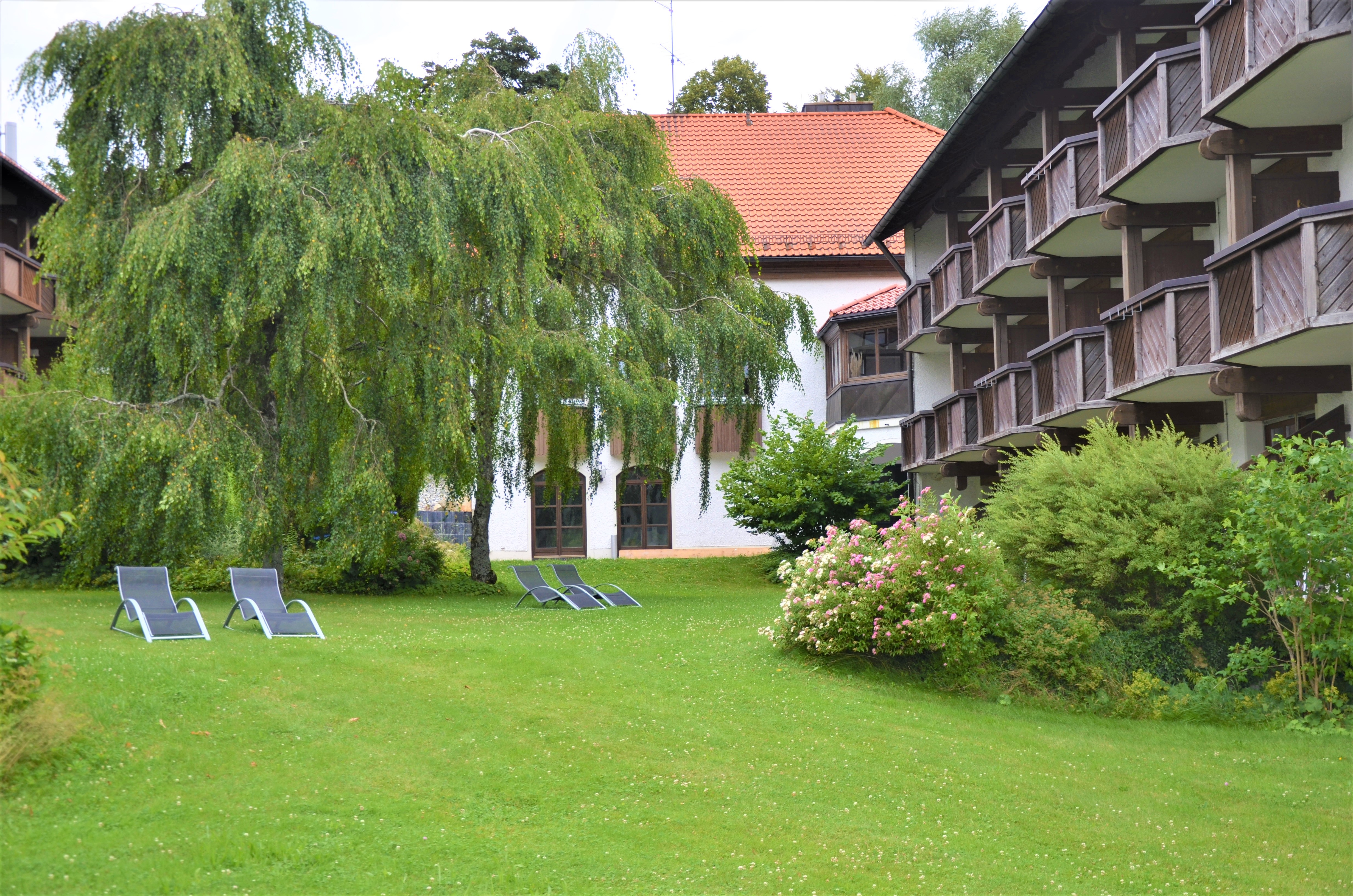Hotelgarten mit Liegestühlen und Trauerweide